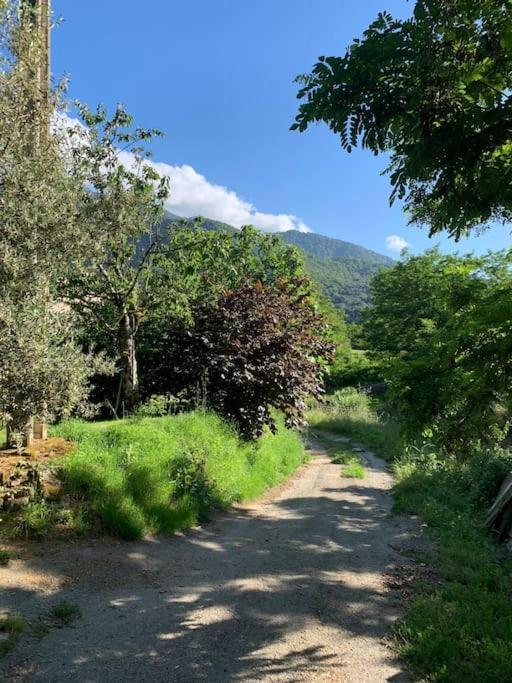 A Cantina Ucciani Exteriér fotografie